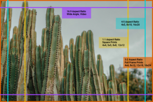 aspect ratio chart